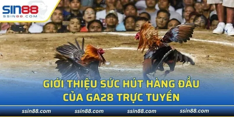 Giới thiệu sức hút hàng đầu của GA28 trực tuyến