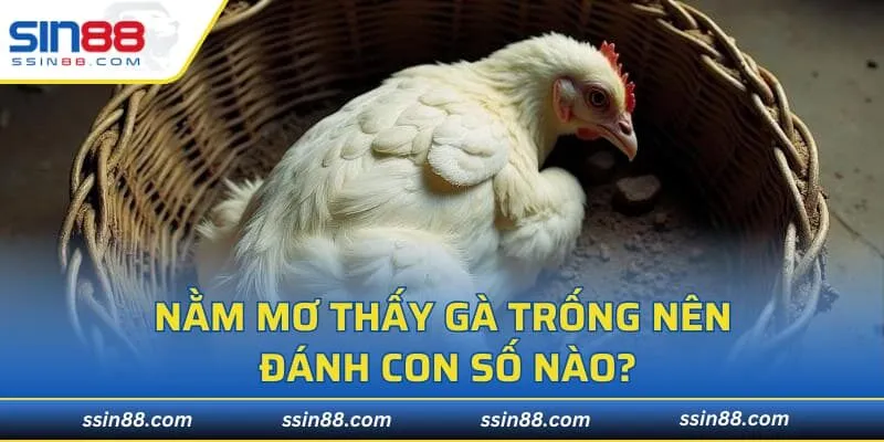 Nằm mơ thấy gà trống nên đánh con số nào?